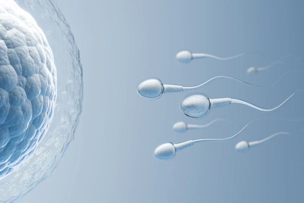 fertility-evaluation​